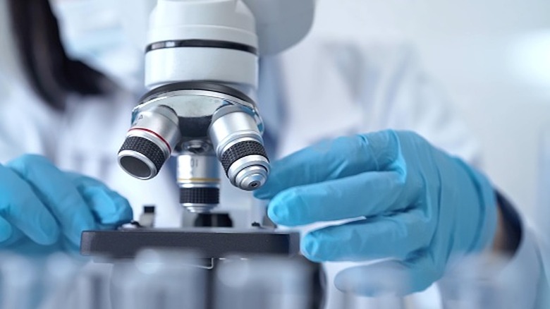 Representação microscópica de uma única célula de astrophage, com partículas de energia ao redor