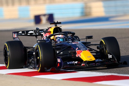Max Verstappen celebrando vitória