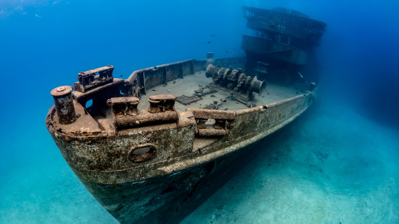 Navio da Marinha submerso, servindo como recife artificial com vida marinha ao redor.
